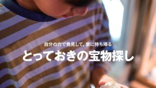 momo vol.31 宝物探し特集号 | 編集プロダクション［マイルスタッフ